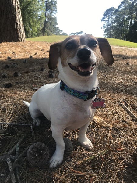Coco Chanel