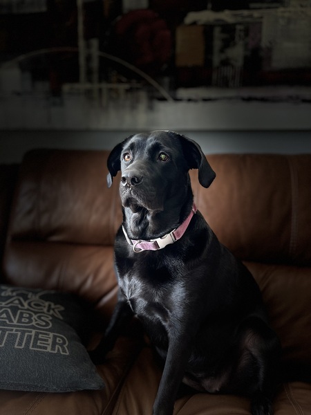 Holly Bella Rodriguez Perry