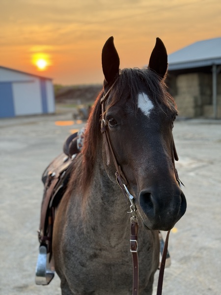 Luna