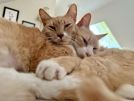 Macklin & Sebastian 