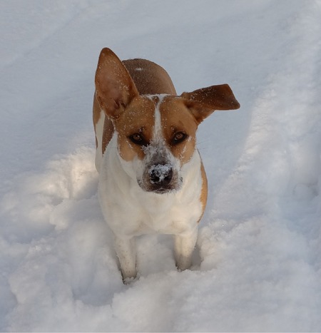 Nellie