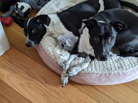 Zoe and Olivia 