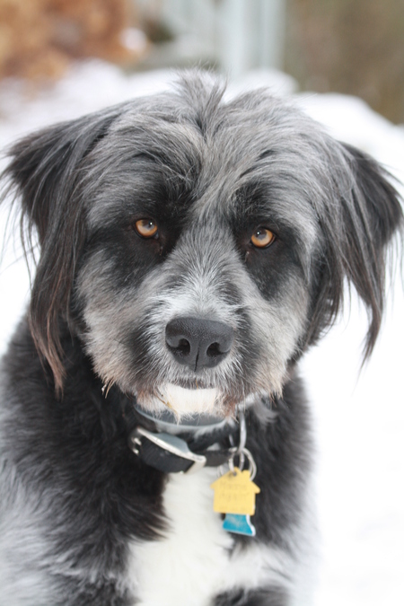 Tucker