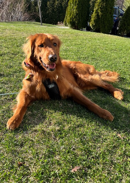 Tucker 
