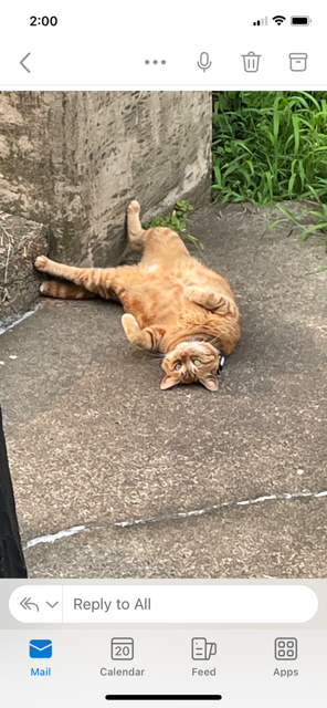 RUSTY