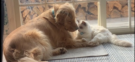 Oliver and Teddy
