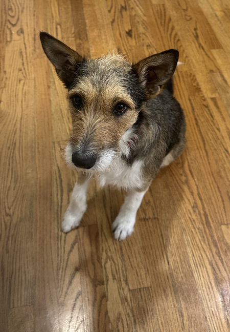 Penny