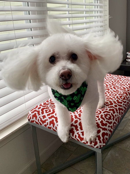 Mimi