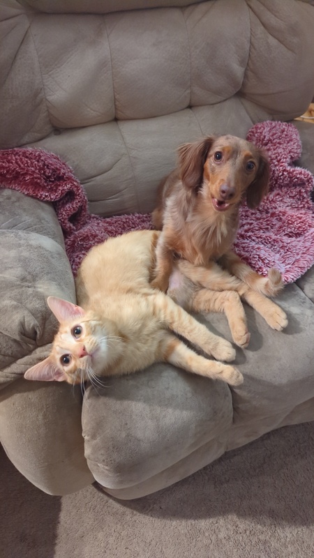 Penny and Cam