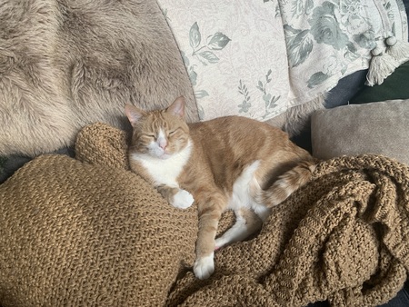 Tigger
