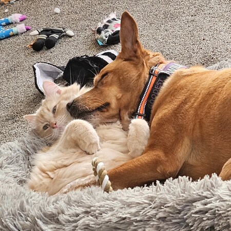 Willow and Ralphie
