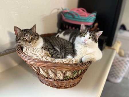 martha and belle