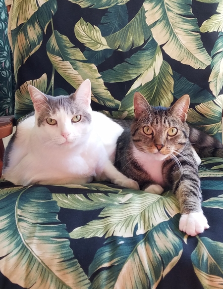 Sophie & Charlie