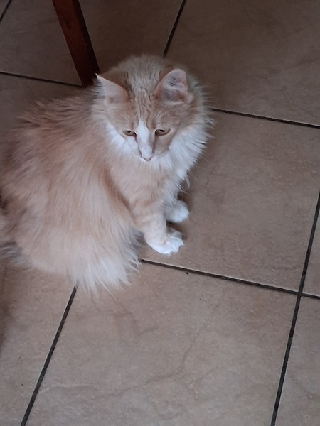 Jenny