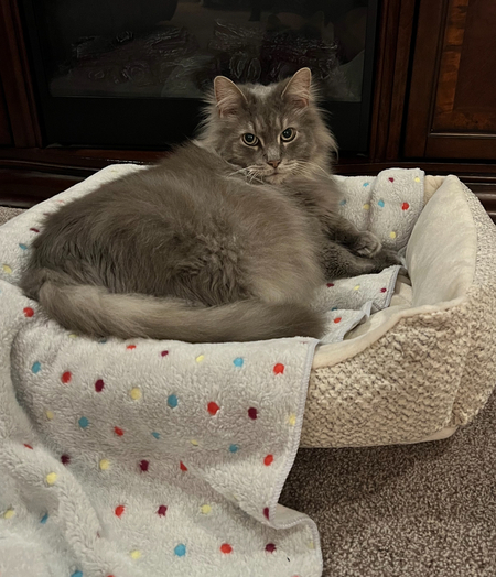 Charles