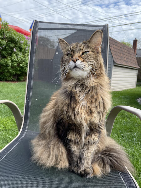 Ronnie