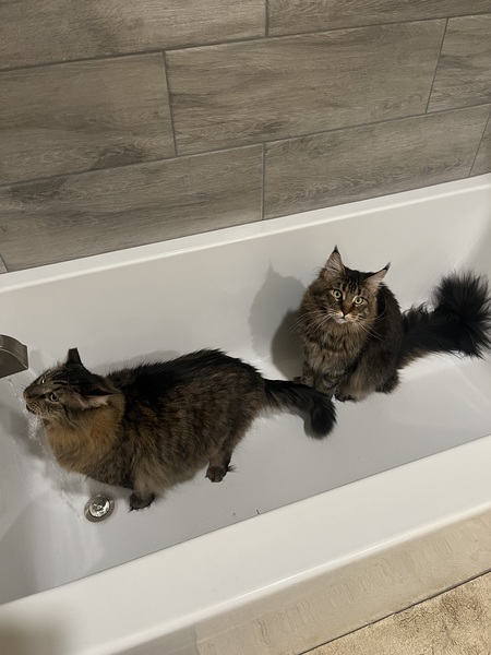 Steve and Zoe