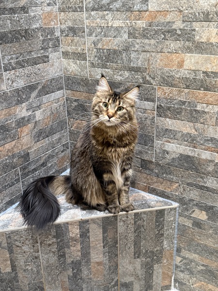Zoe