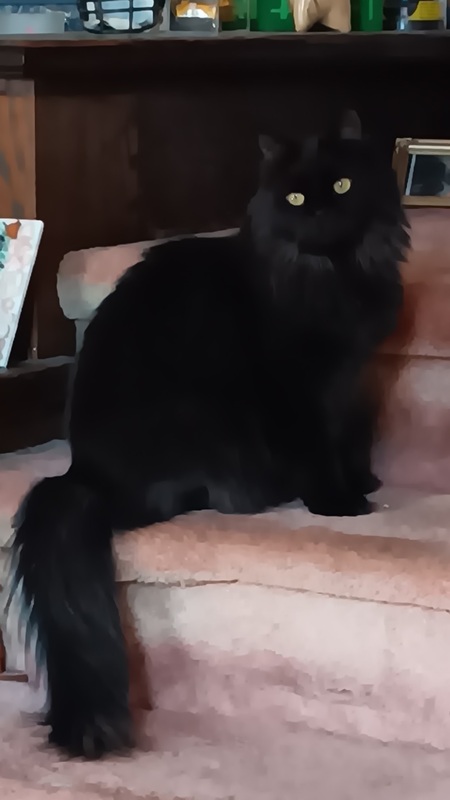 Luna