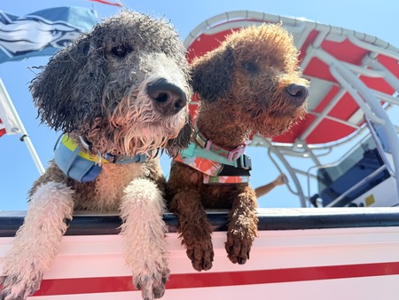 Bodie & Addie