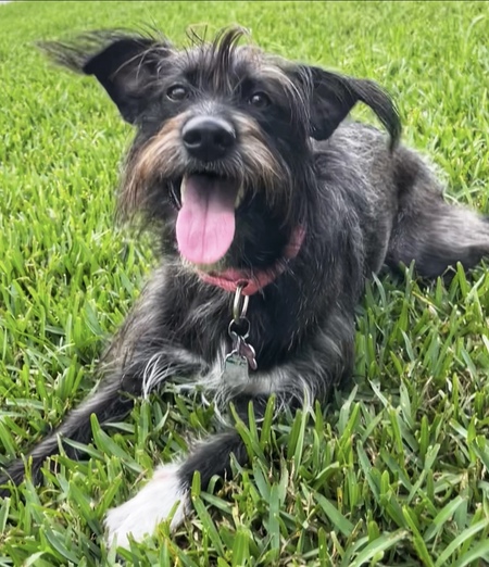 Lucy