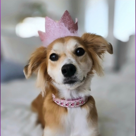 Lola