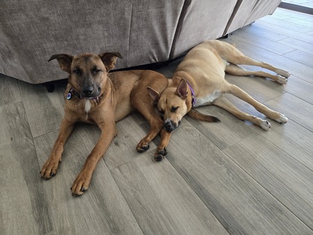 Milo and Dean Mac Grady 