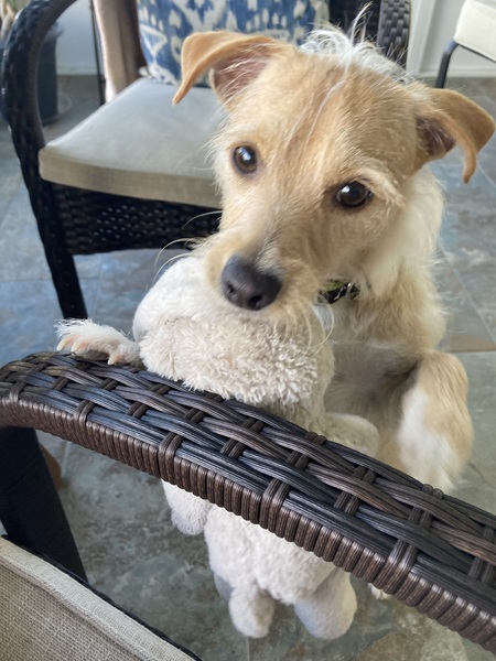 Tucker
