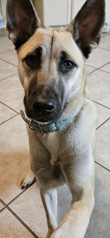 Rico