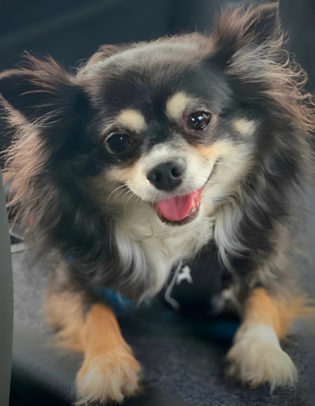Pablo Escobark 