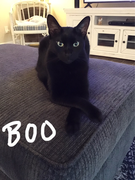Boo