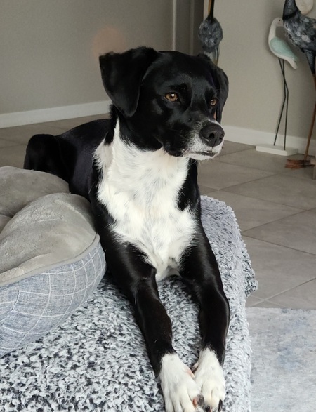 Sophie