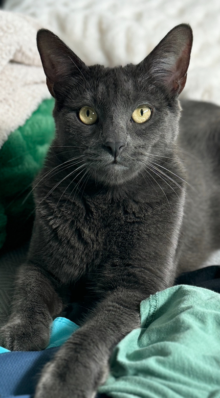 Benny 