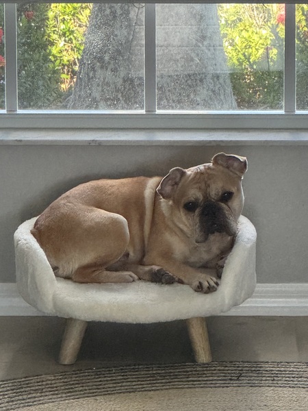Tito