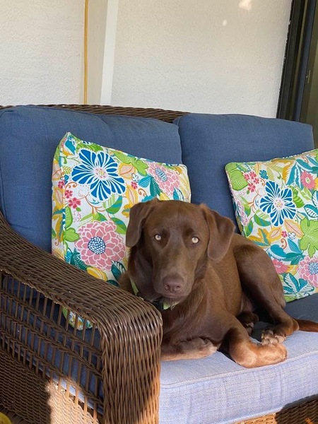 Maggie Mae