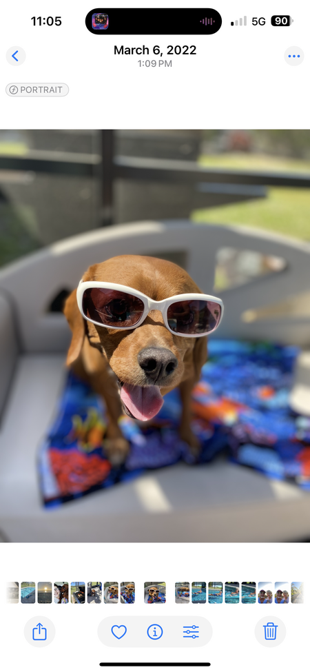 Chico