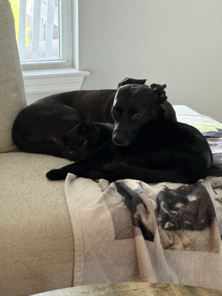Stormy & Spooky