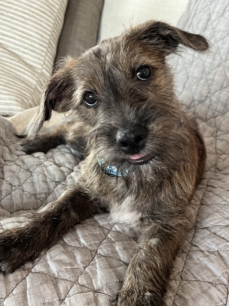 Tilly