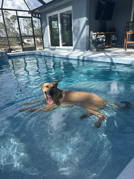 Duke