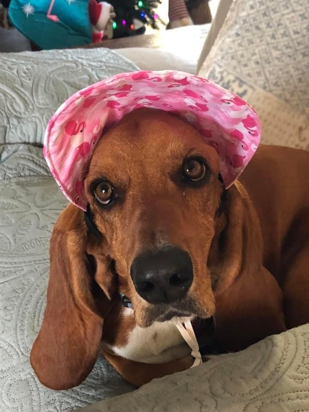 Penny