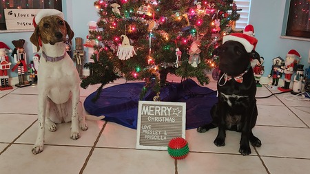 Presley and Priscilla 