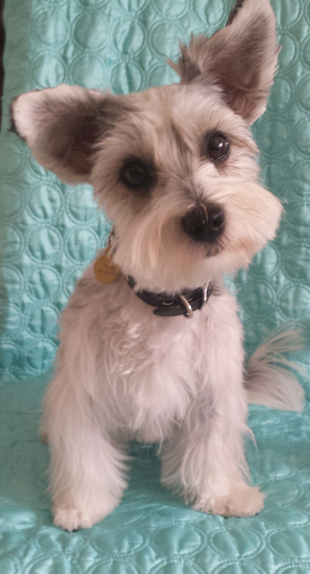 JOLIE