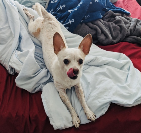Milo