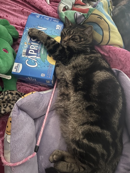 Gilbert