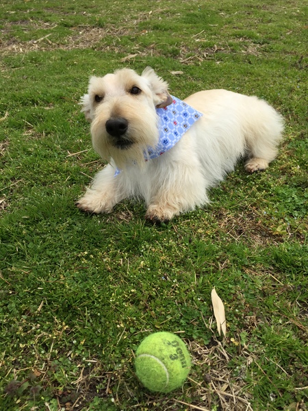 Duncan