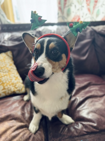Matilda 