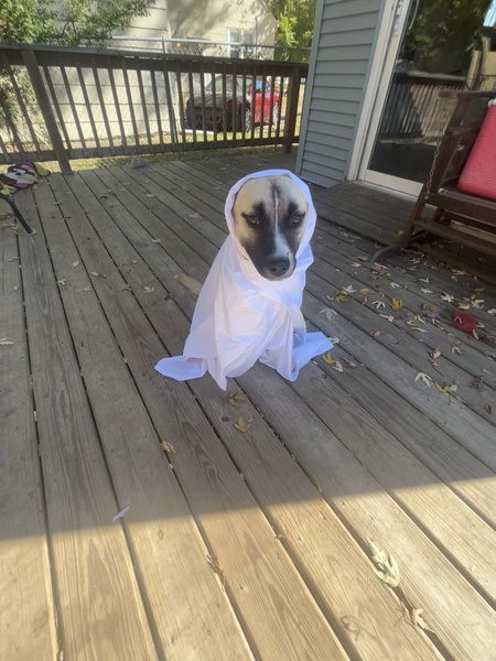 Lilah