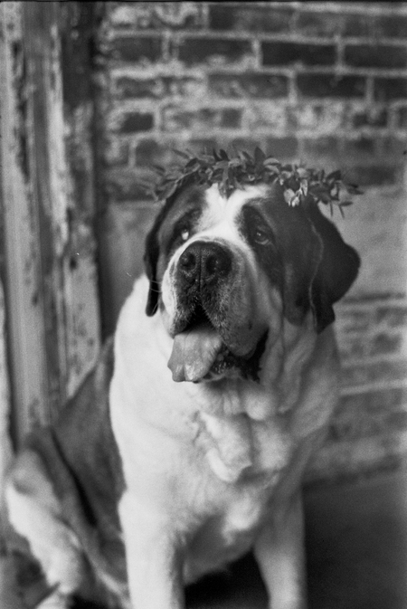 Winston