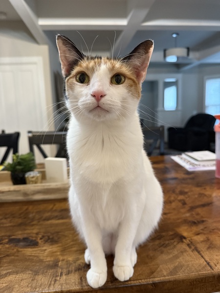 Lucy