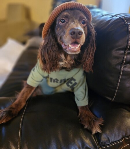 Entry image for Jaxson. Clicking this image will show a larger photo